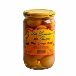 Mini citron beldi Ben
